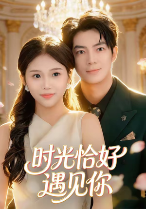 时光恰好遇见你（80集）免费全集短剧