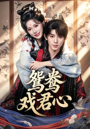 鸳鸯戏君心(60集) 鸳鸯戏君心(60集)短剧演员排行榜