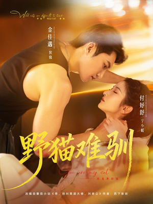 野猫难驯（73集）解说文案