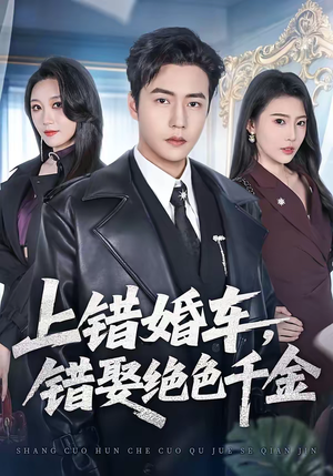 上错婚车，错娶绝色千金（80集）热门短剧在线看