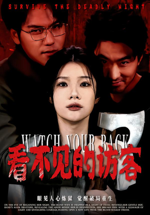 看不见的访客（62集）短剧排行榜