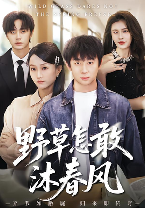 野草怎敢沐春风（61集）80到100集