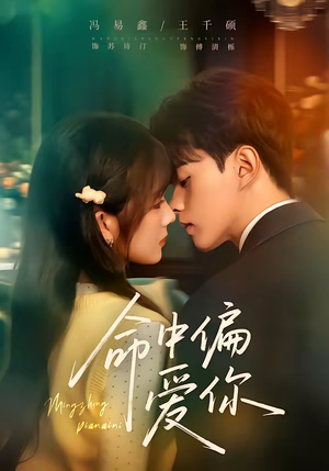 命中偏爱你（58集）高清无码免费看