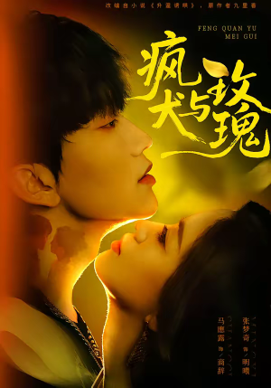 疯犬与玫瑰（80集）全集我都看完了