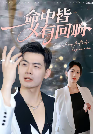 命中皆有回响（62集）我全都看完了