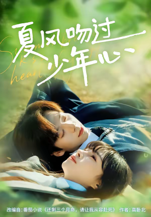 夏风吻过少年心(76集) 夏风吻过少年心(76集)短剧解说热门