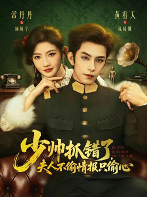 少帅抓错了，夫人不偷情报只偷心（66集）最火短剧推荐