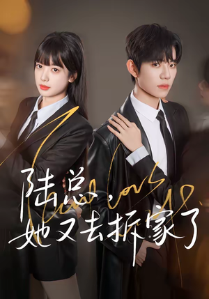 陆总，她又去拆家了（80集）追短剧看全集