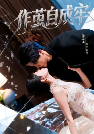 作茧自成牢（52集）视频在线看