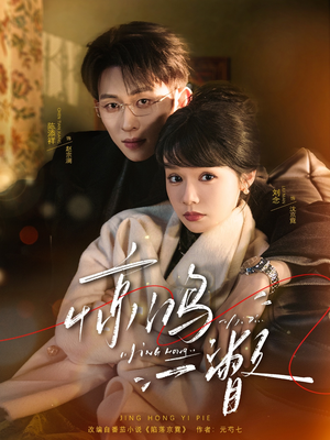 惊鸿一瞥（72集）热播短剧全集看