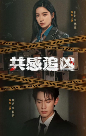 共感追凶（60集）短剧有好货推荐