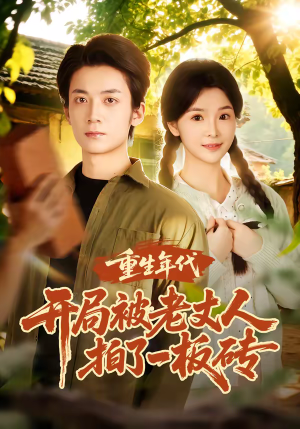 重生年代开局被老丈人拍了一板砖（82集）在线看免费版