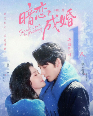 暗恋成婚（60集）好短剧分享