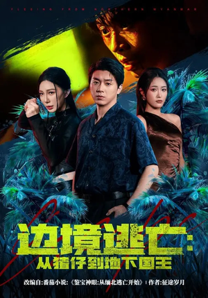 边境逃亡：从猪仔到地下国王（81集）古装短剧推荐