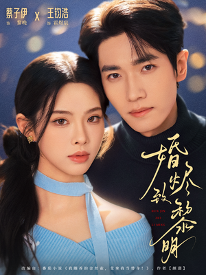 婚烬致黎明(77集) 婚烬致黎明(77集)在线观看全集