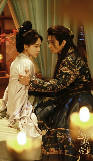 皇后赐宠（22集）全集完整版