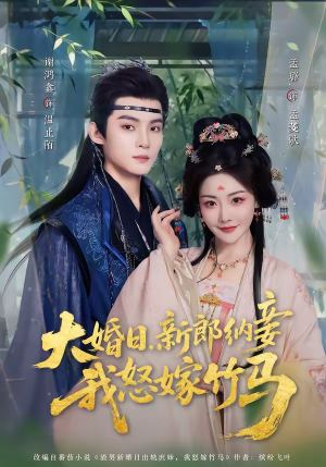 大婚日，新郎纳妾我怒嫁竹马（80集）原创精彩短剧
