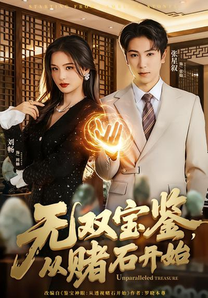 无双宝鉴，从赌石开始（70集）番茄免费短剧