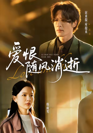 爱恨随风消逝（60集）零花钱看整部剧