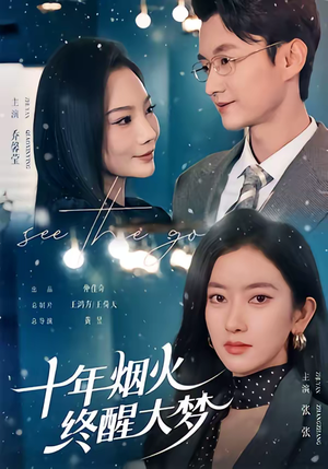 十年烟火，终醒大梦（60集）精彩的网络短剧