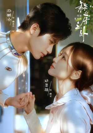 秩序之外（72集）在哪看