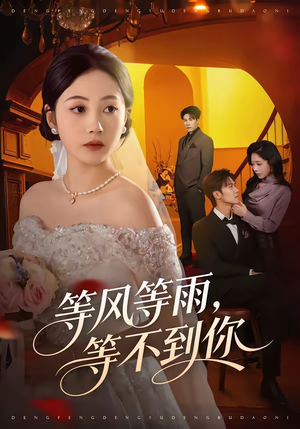 等风等雨，等不到你（65集）精彩的网络短剧