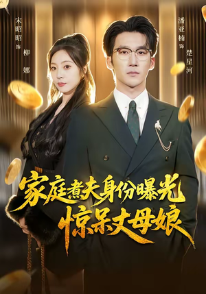 家庭煮夫身份曝光惊呆丈母娘（80集）评价怎么样