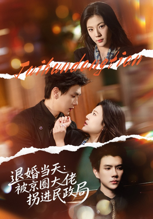 退婚当天：被京圈大佬拐进民政局（80集）热门短剧追到爽