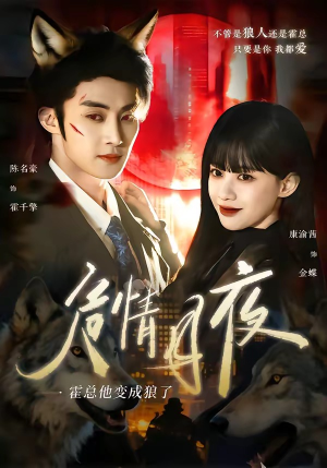 危情月夜：霍总他变成狼了（70集）古代短剧推荐