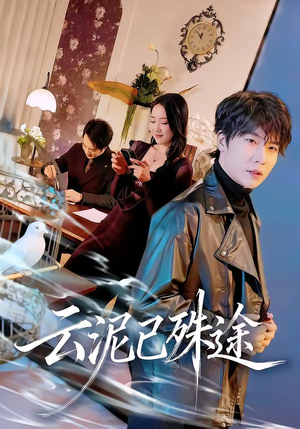 云泥已殊途（72集）热播短剧重燃