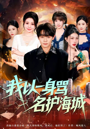 我以一身骂名护海城（79集）短剧看全集