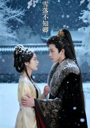 雪落不知卿（62集）全集一网打尽
