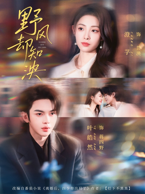 野风却知泱（80集）热播短剧重燃