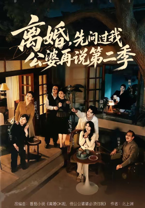 离婚，先问过我公婆再说第二季（90集）全集在线看