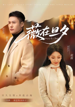 薇在旦夕（80集）好看短剧看不停