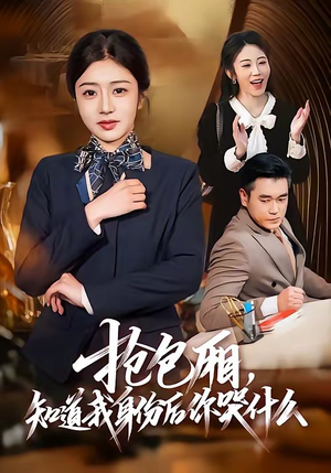 抢包厢,知道我身份后你哭什么(70集) 抢包厢,知道我身份后你哭什么(70集)免费短剧推荐