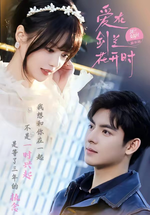爱在剑兰花开时（56集）免费短剧大全