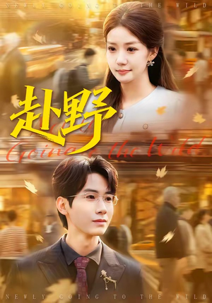 赴野（40集）男频短剧推荐