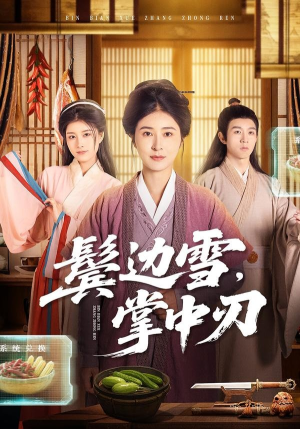 鬓边雪，掌中刃（60集）360网盘观看