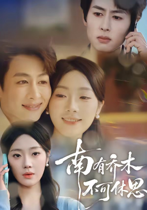 南有乔木，不可休思（68集）精彩短剧合集