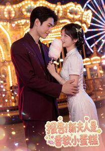 报告！新夫人是香软小蛋糕（90集）评价怎么样