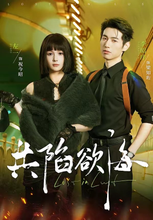 共陷欲海（66集）百度网盘资源