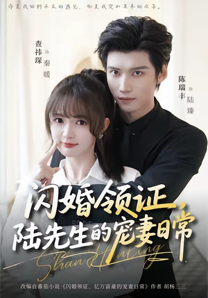 闪婚领证，陆先生的宠妻日常（86集）短剧也太好看了