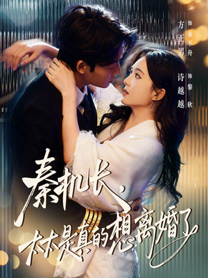 秦机长，太太是真的想离婚了（74集）免费短剧看不停