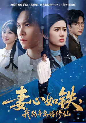 妻心如铁，我转身离婚修仙（81集）百度网盘资源