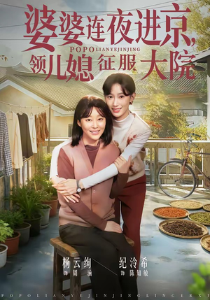 婆婆连夜进京，领儿媳征服大院（78集）短剧每日分享