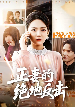 正妻的绝地反击（76集）百度网盘在线看