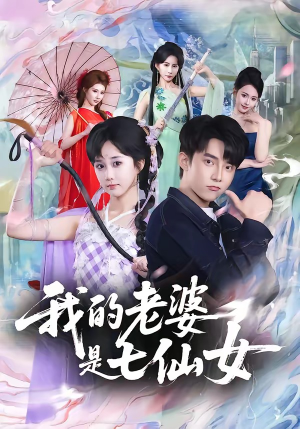 我的老婆是七仙女（57集）免费看