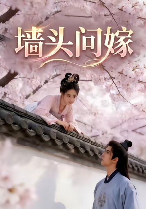 墙头问嫁（29集）短剧追到爽