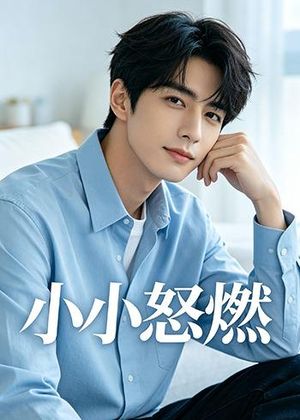小小怒燃（19集）视频在线看